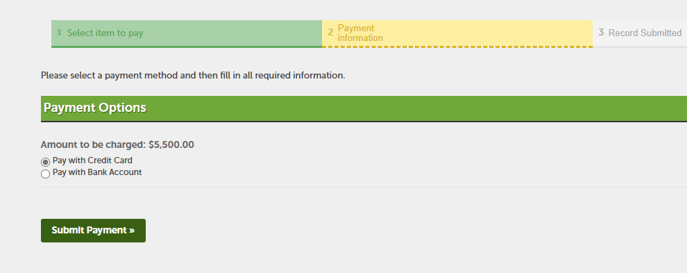 View larger screenshot of the Credit Card option