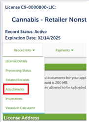 View larger screenshot of the Record Info dropdown list