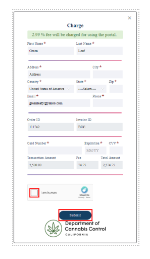 payment processing screen
