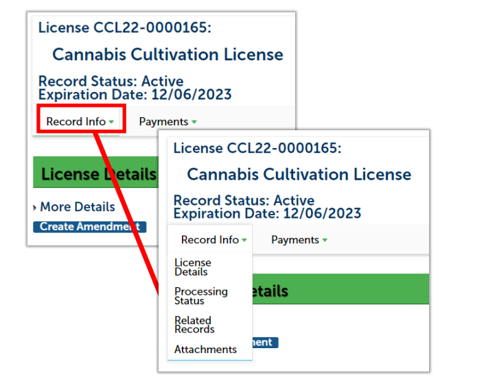License details page with Record info highlighted and dropdown showing License details, processing status, related records, and attachments.